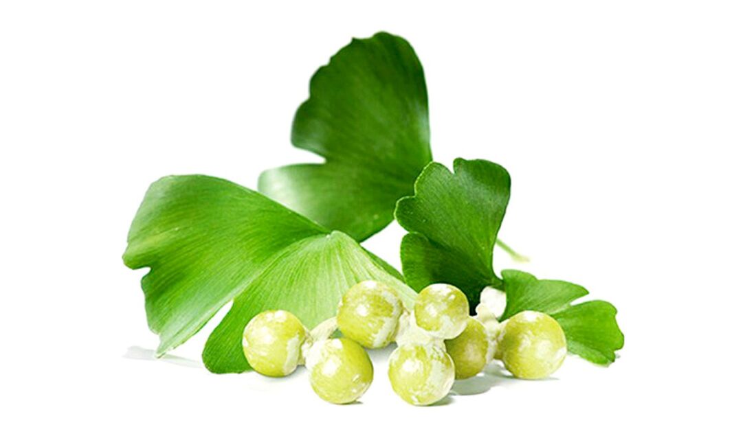 Ginkgo biloba v Osteflexu